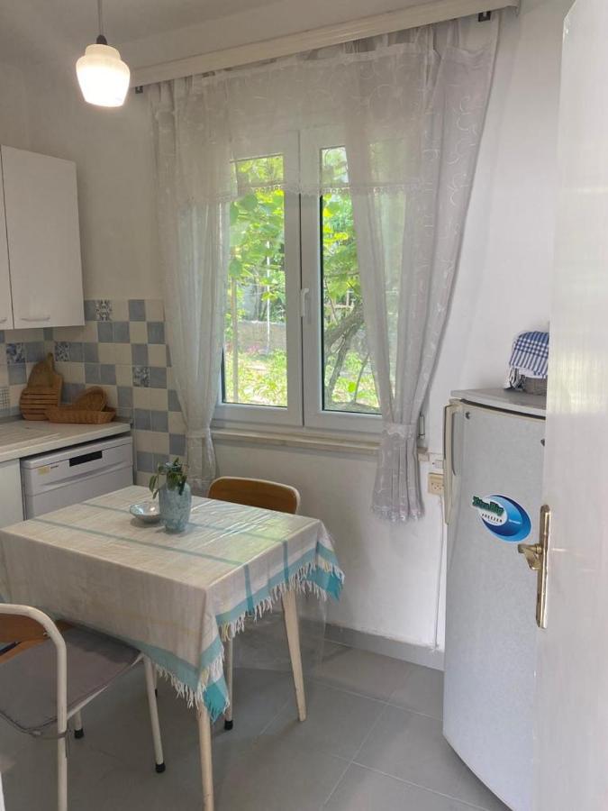 Domuskova Apartamento *