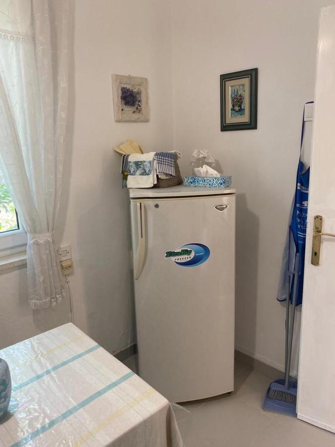 Appartement Domuskova