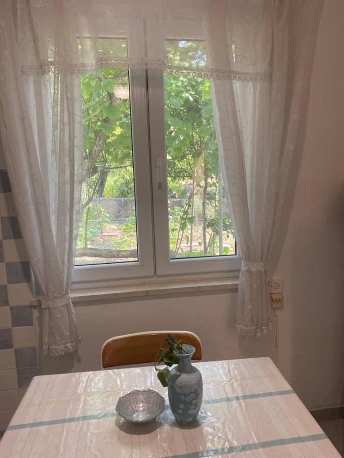 Domuskova Appartement